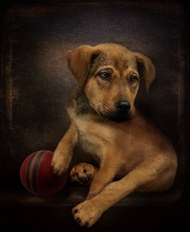 , Светлана Мелик-Нубарова