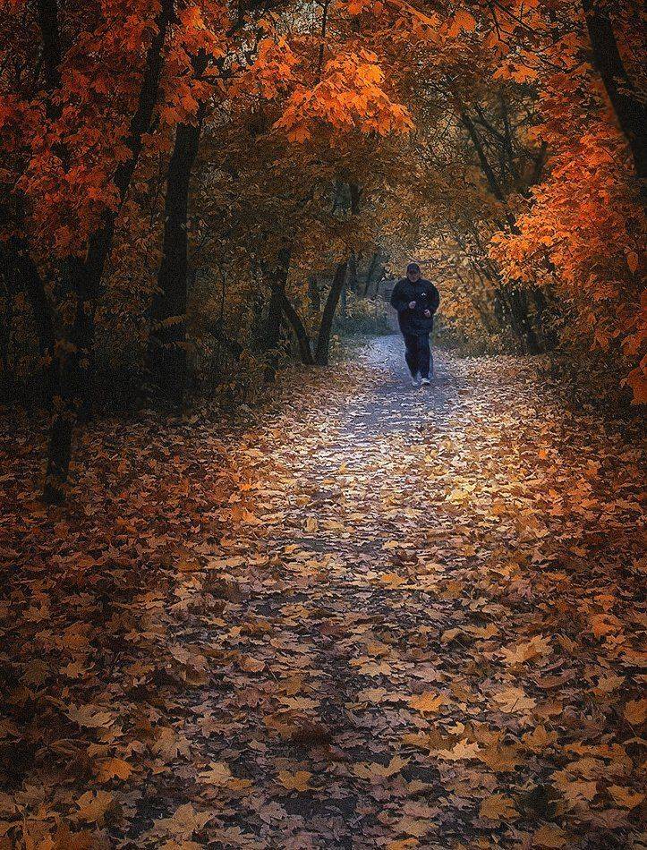 , Игорь Мелекесцев