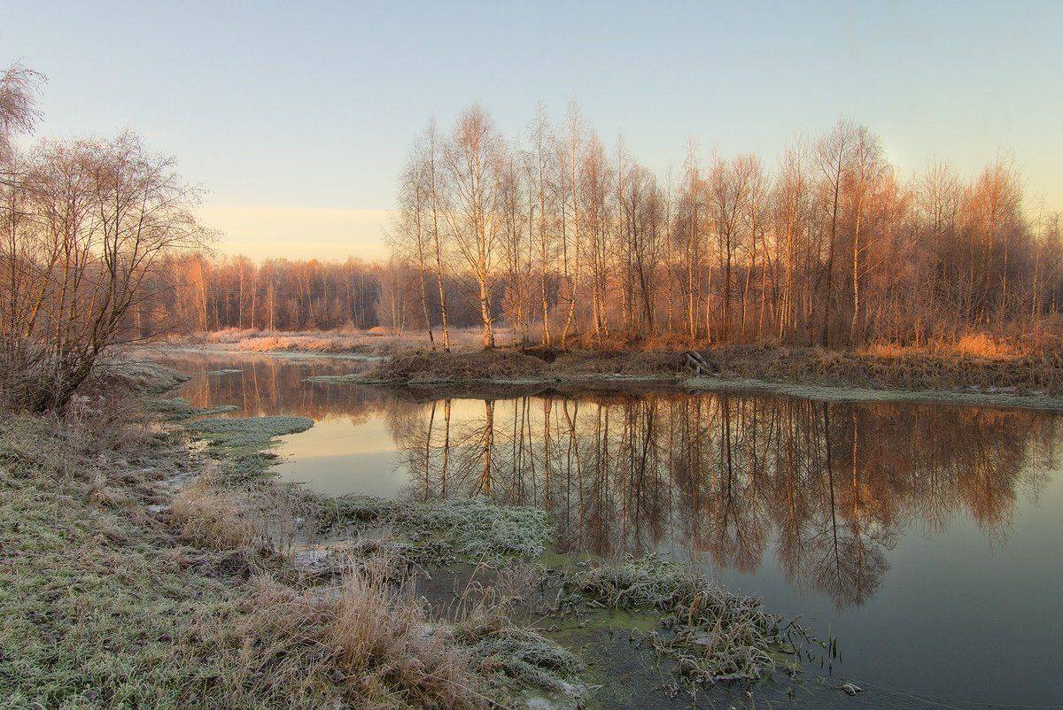 , Марина Брыдня