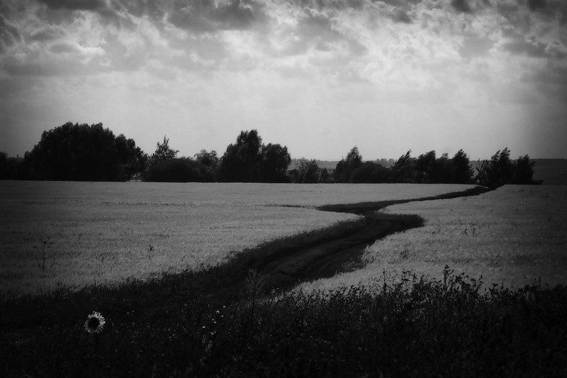 типаПейзаж... фото превью