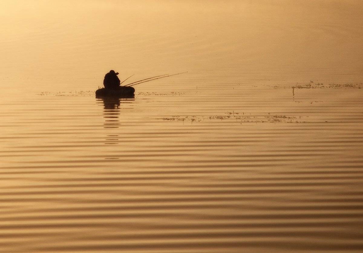 , Владимир Перепечаев