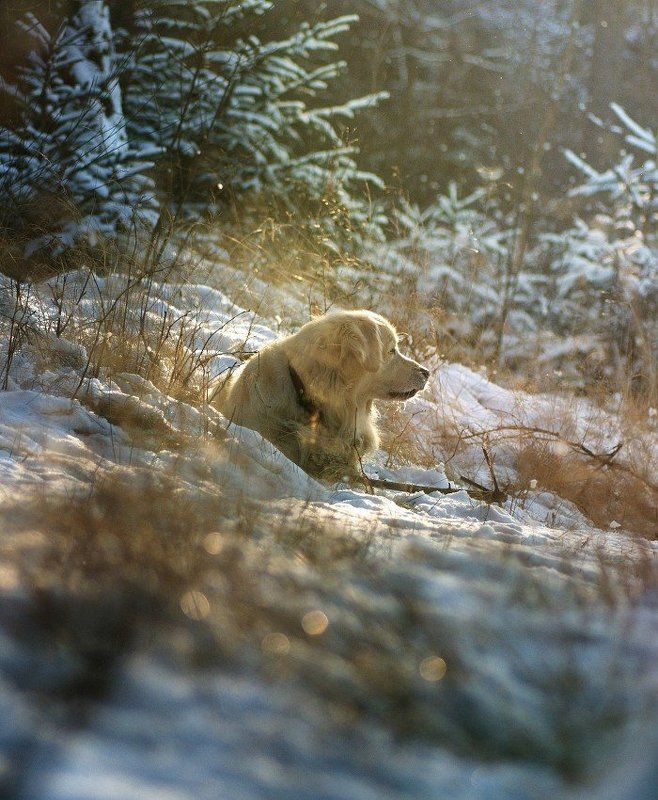 ... фото превью
