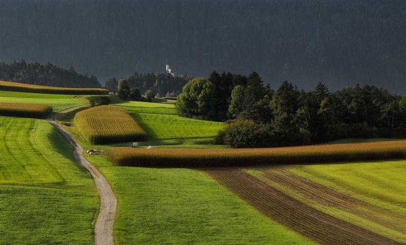 австрия ---- фото превью