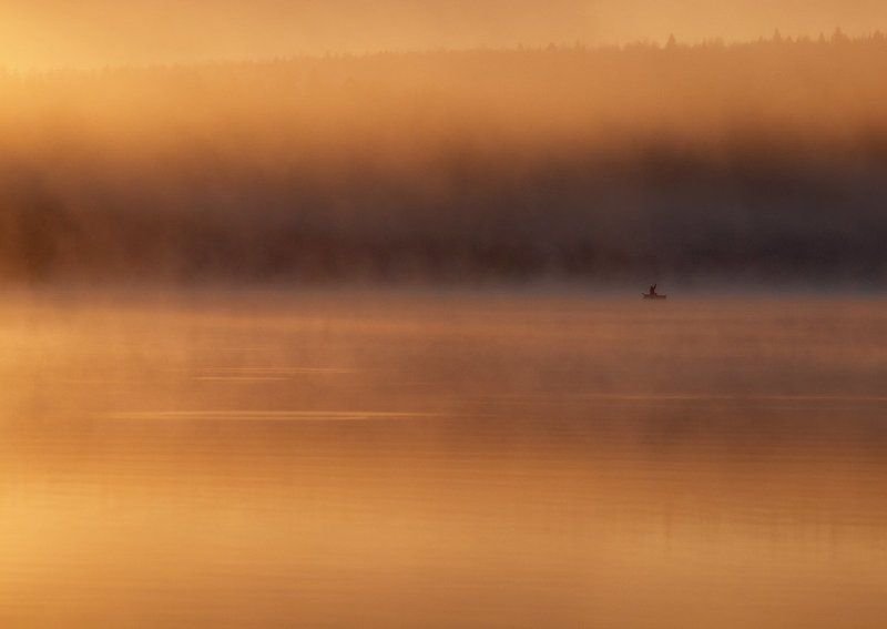 ___*_ фото превью