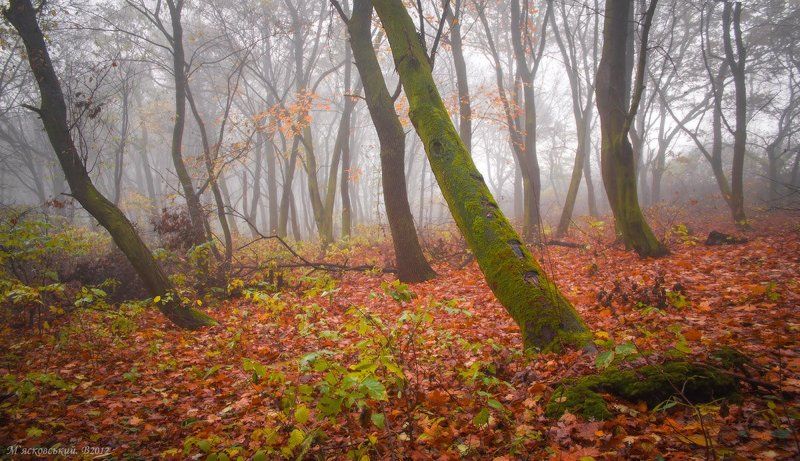 *** фото превью