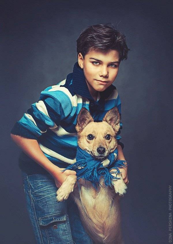 портрет, , дети, собаки, животные, студия, Першина Дина