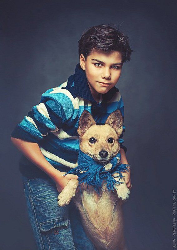 портрет, , дети, собаки, животные, студия ... фото превью