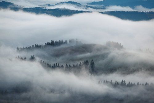 ...Fog...