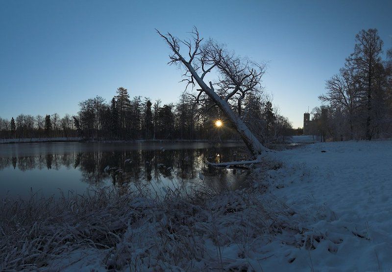 рассвет, контровой свет, осень, первый снег ~101~ фото превью