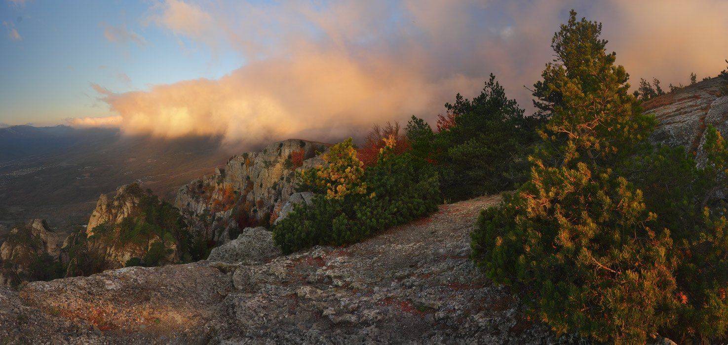 , Александр Киценко