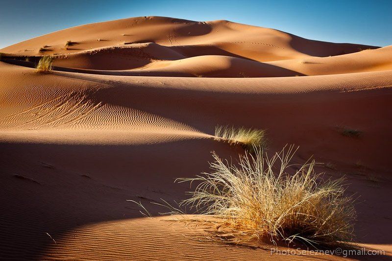 travel, desert, morocco, dune, sand Эрг Шебби фото превью