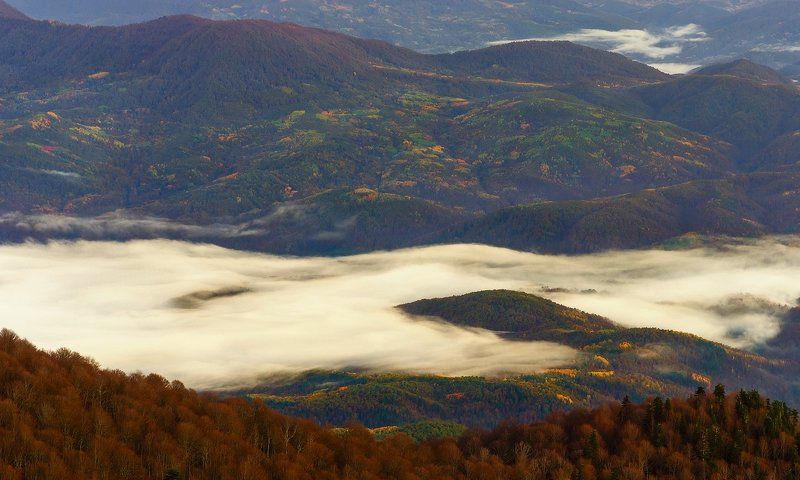 ОСТАТКИ ОСЕНИ фото превью