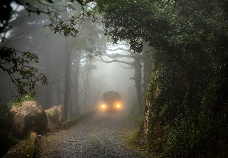 the last bus фото превью