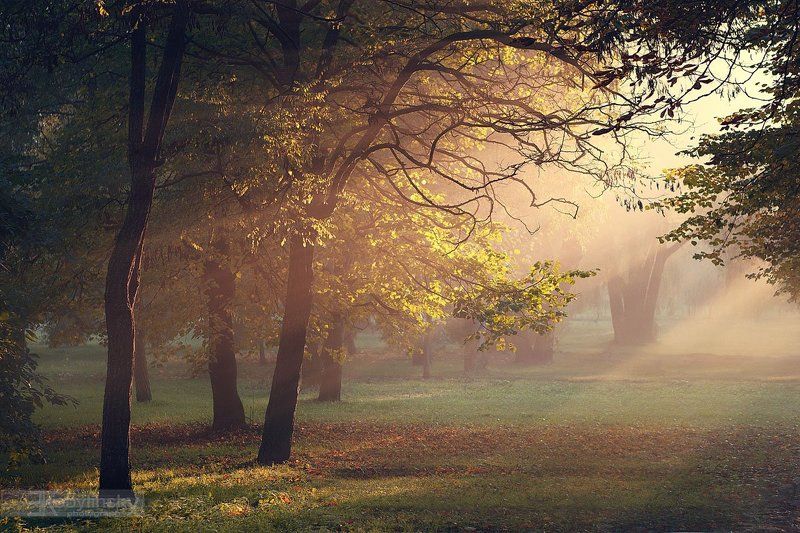 Пробуждение фото превью