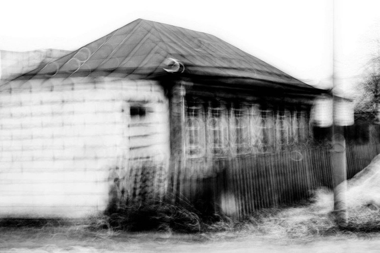 , Долгопят Зелёный