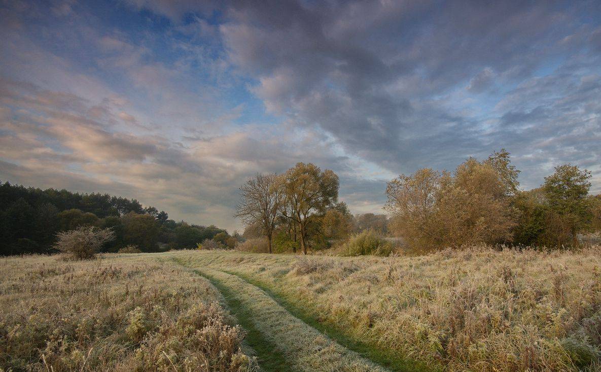 , Володимир Карчевський