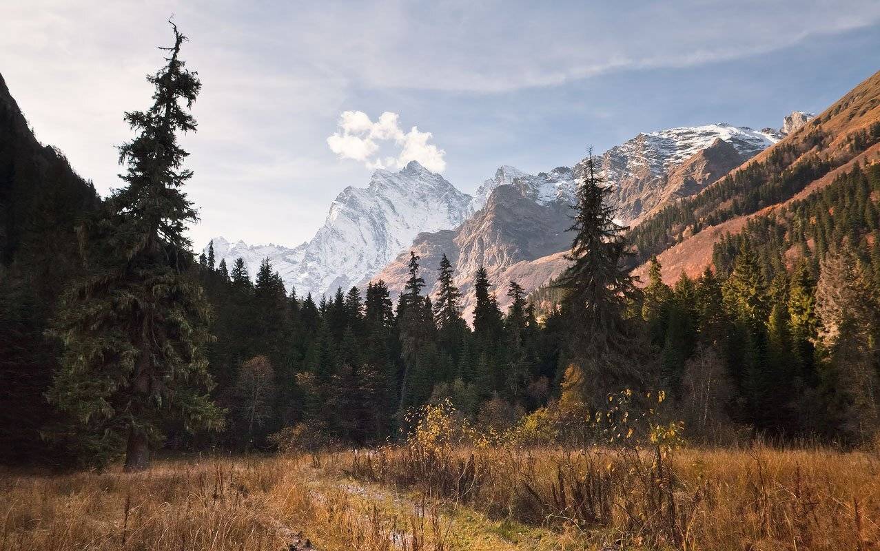 осень, бу, ульген, гоначхир, домбай, Николай Мысливцев
