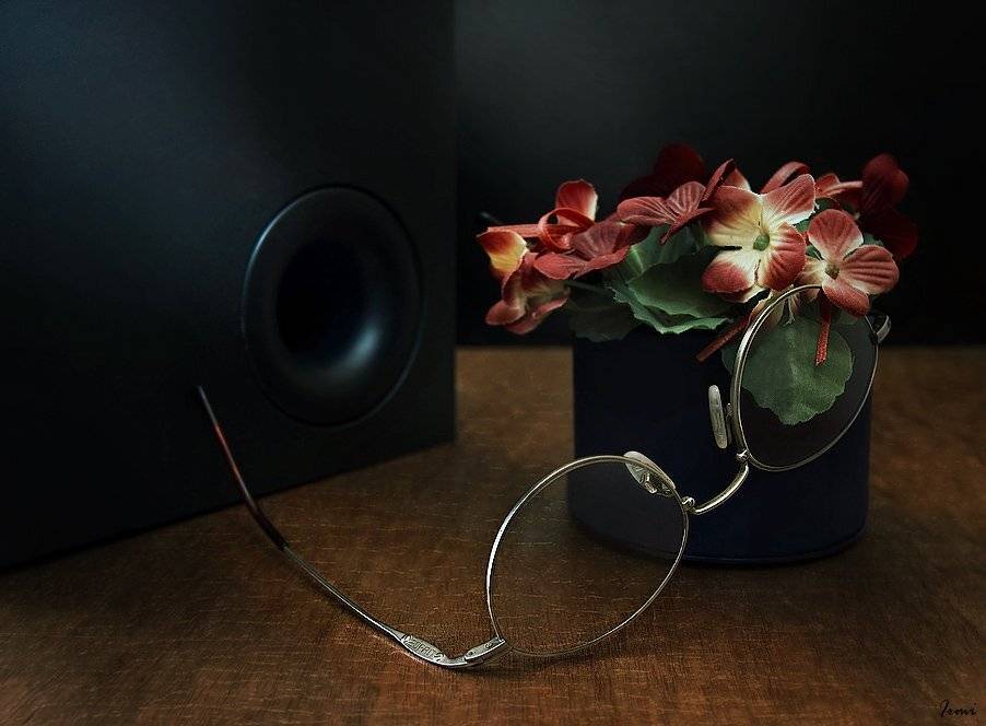 очки, цветы, футляр-подарок, Юрий Юшваев