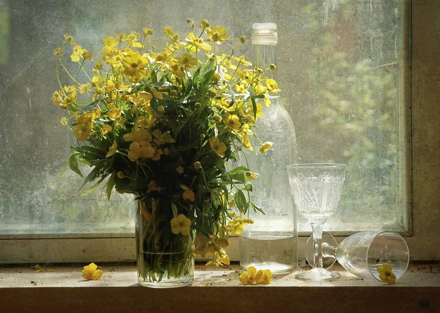 , Надежда Власова