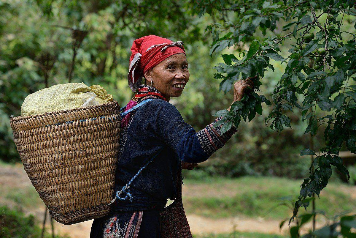 сапа, вьетнам, Soft Light