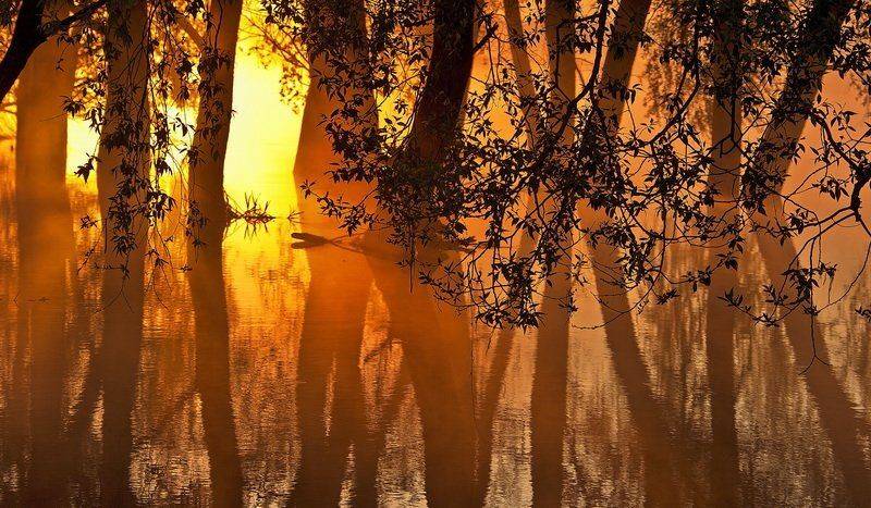 , Валерий Кондратов