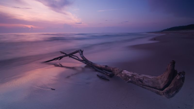 выброшен фото превью