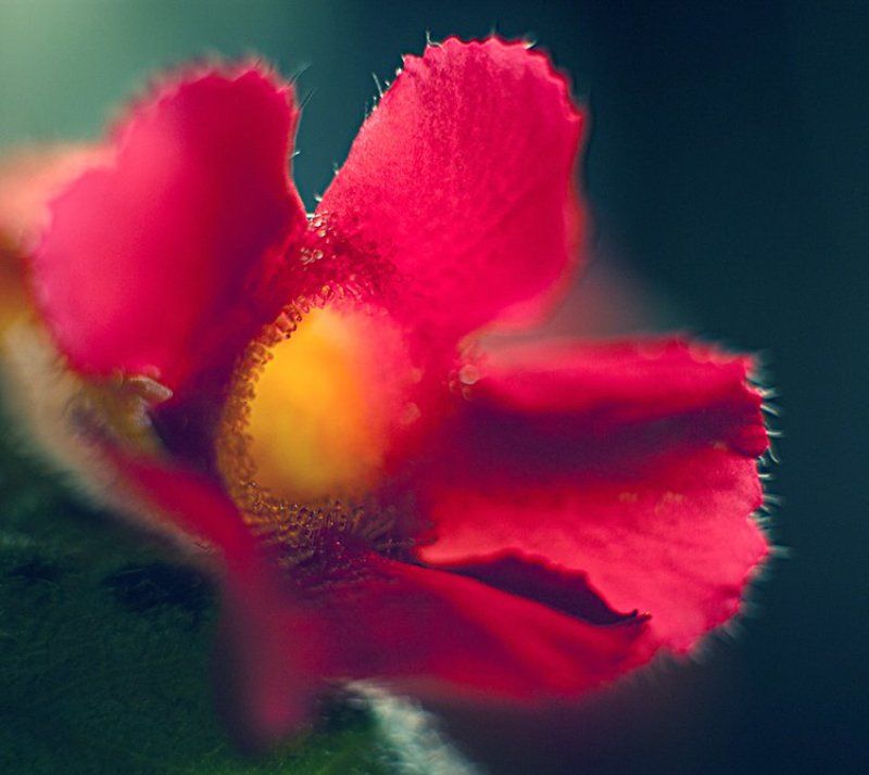 no title фото превью