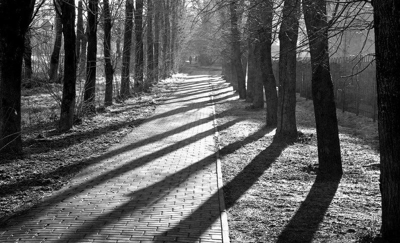 Утренний свет и тени фото превью