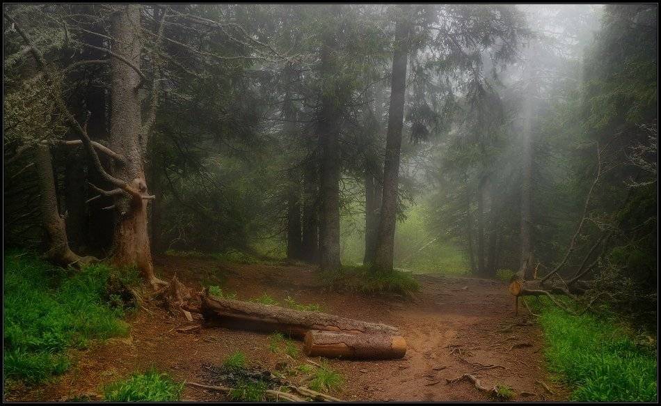 bulgaria, , vitosha, Svetoslav