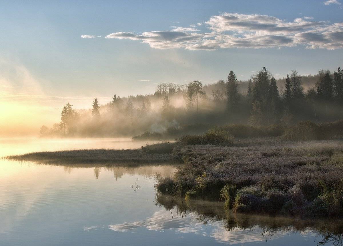 , Марина Брыдня