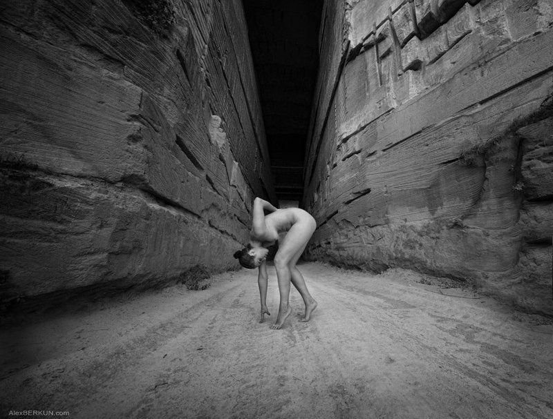 alex, berkun butterfly фото превью