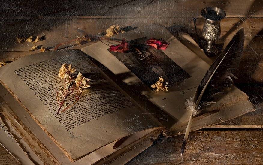 , Светлана Л.