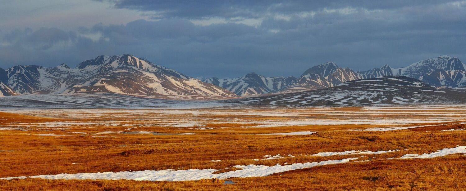 россия, чукотка, пейзаж, лето,, Сергей Шульга