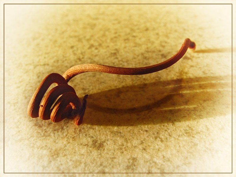 @________ фото превью