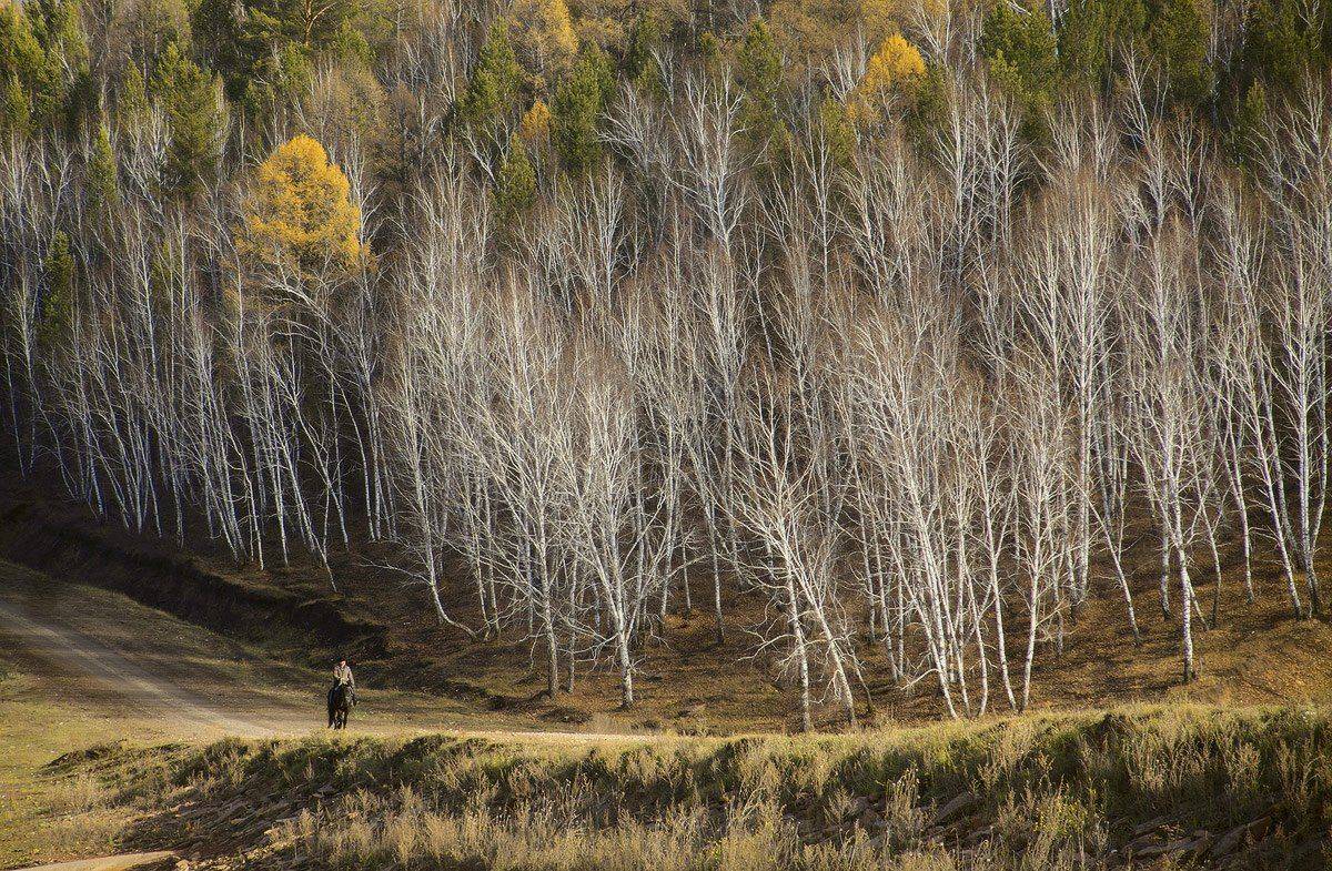 , Николай Морский