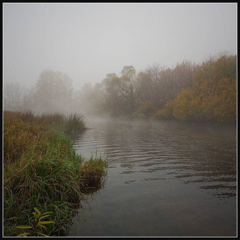 Осень... Утро... Туман... фото превью