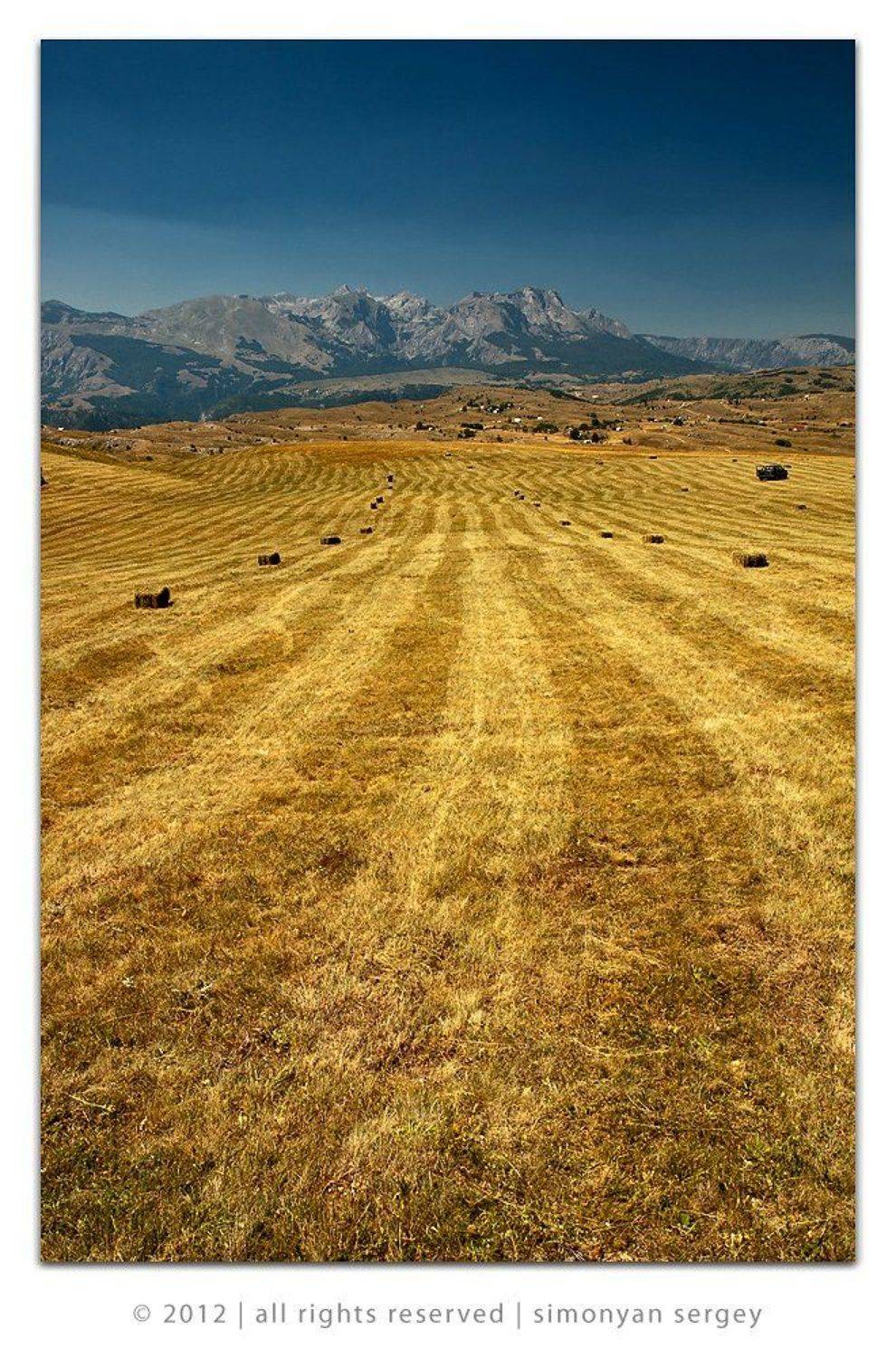 , Симонян Сергей