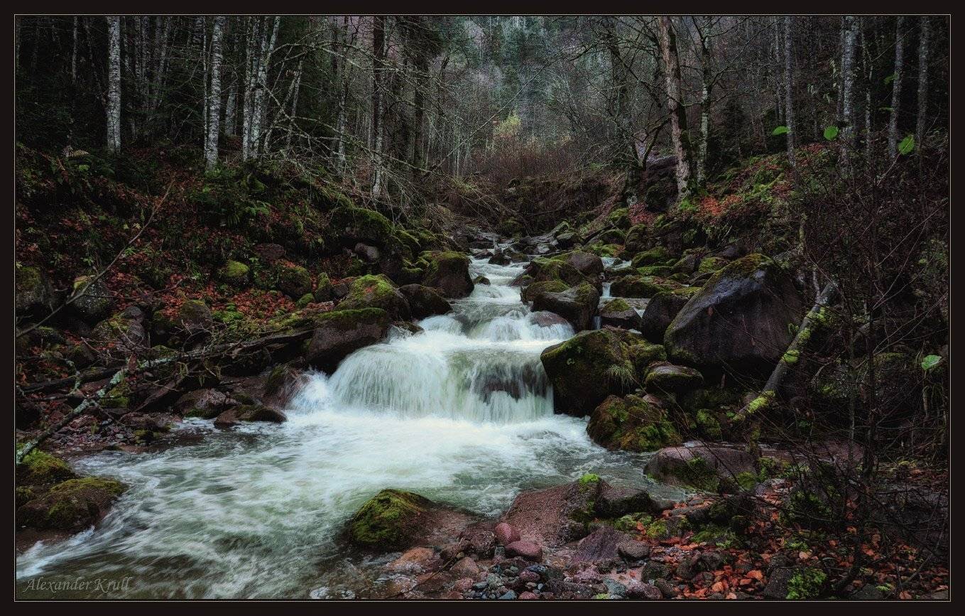 кавказ, кчр, рожкао, осень, река, лес, Александр Круль