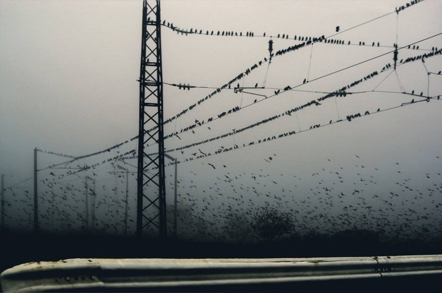 , janini (Жана Топчиева)