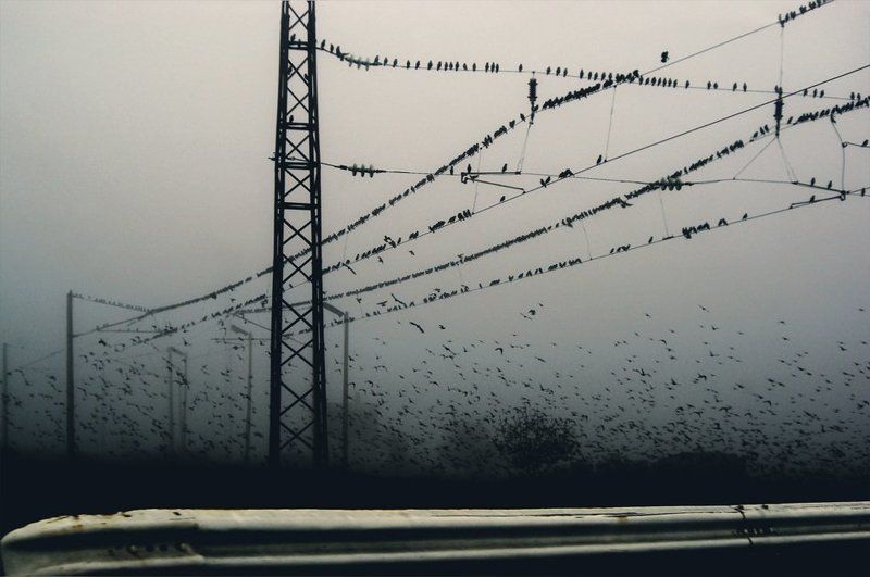 November фото превью