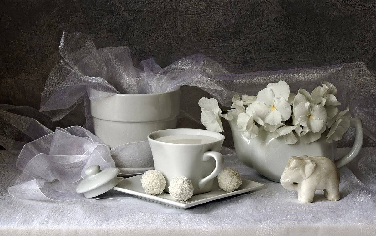 , светлана голицына