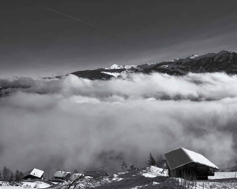 *** фото превью