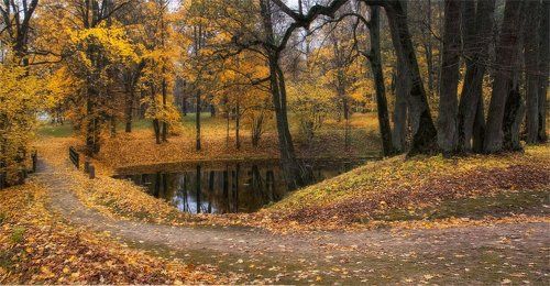 Заблудилась в парке осень