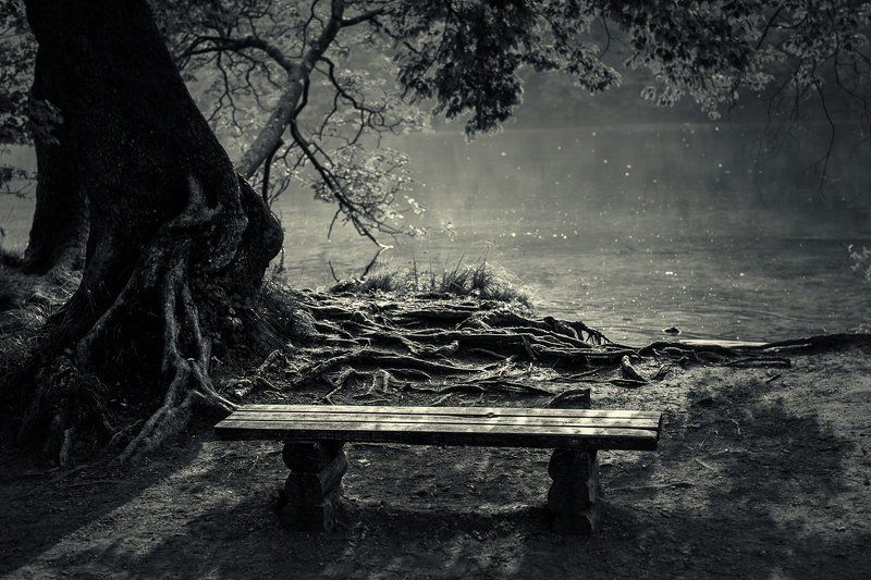 У озера фото превью