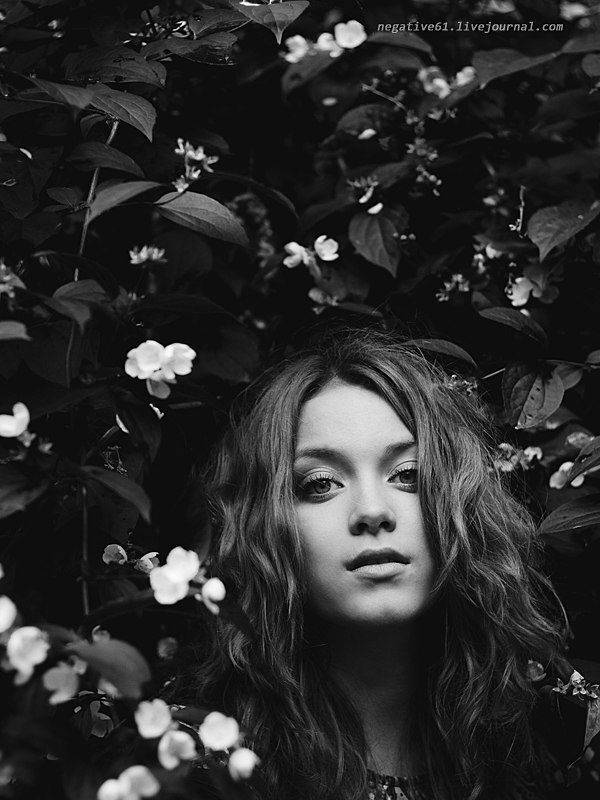 , Борисенко Денис