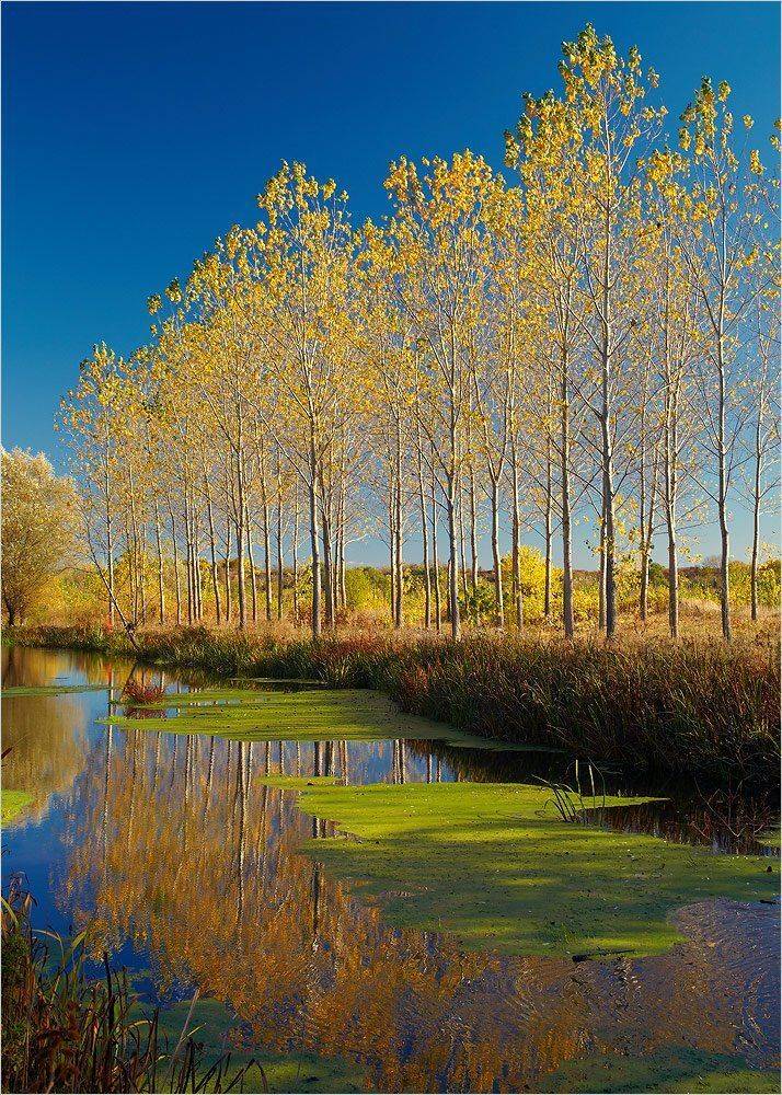 , Kostadin Momchilov