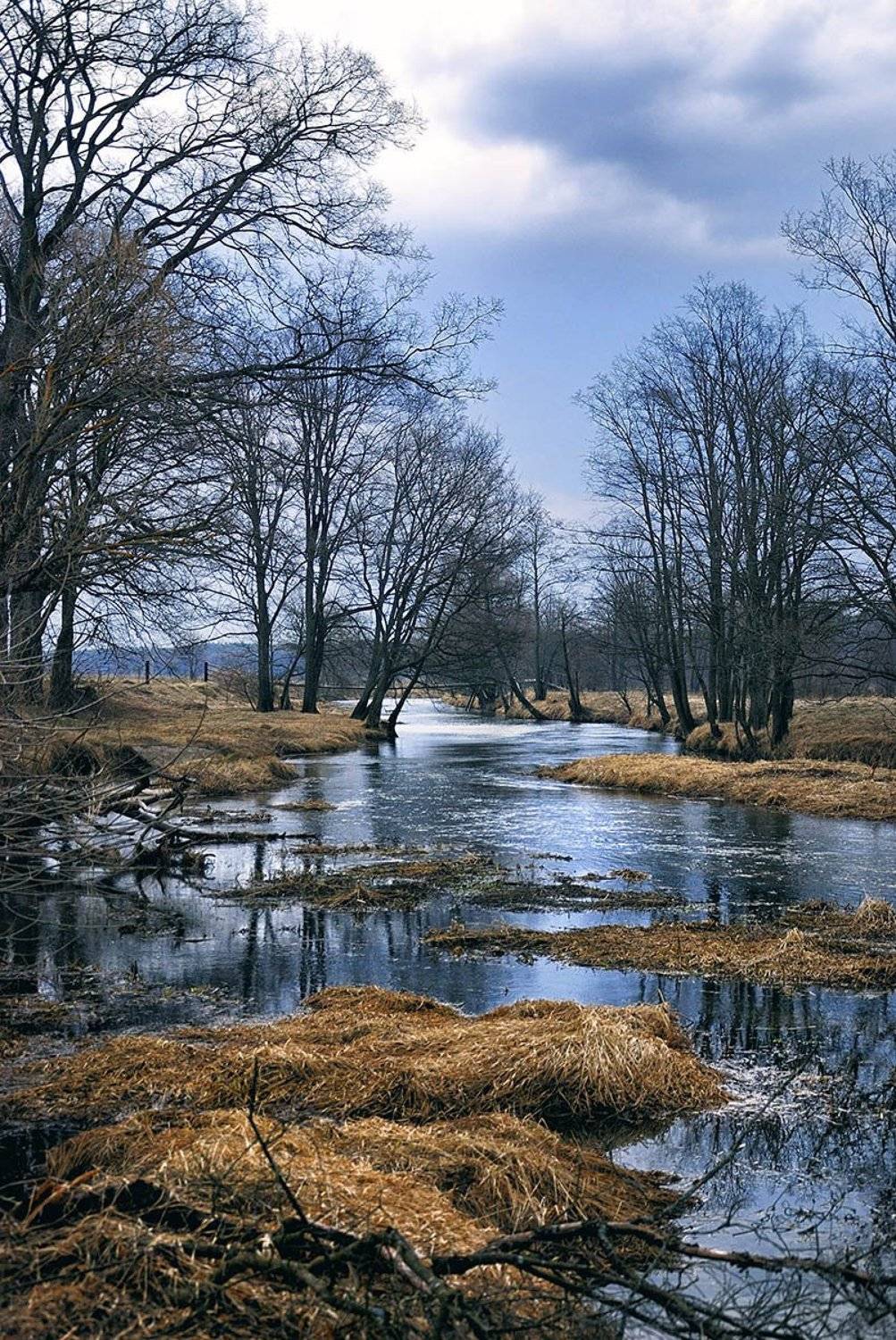 , Николай Давидчук