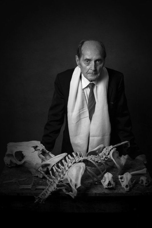 The Professor фото превью