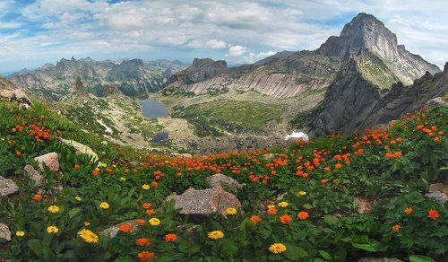 Клумба горная