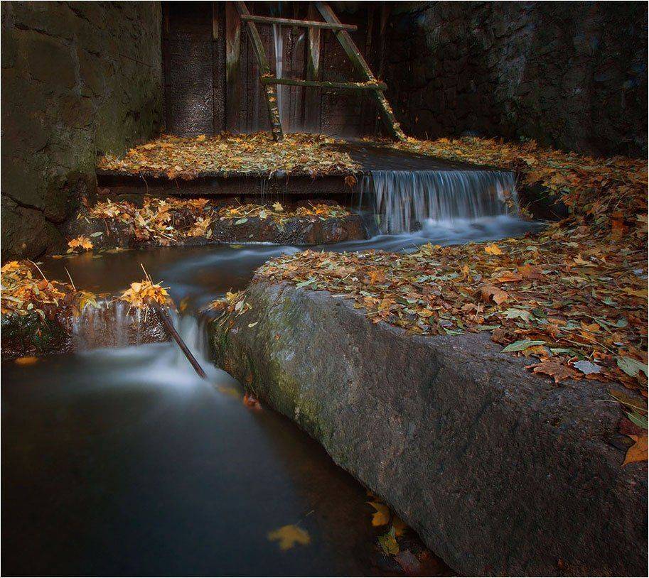 , Сергей Дымченко